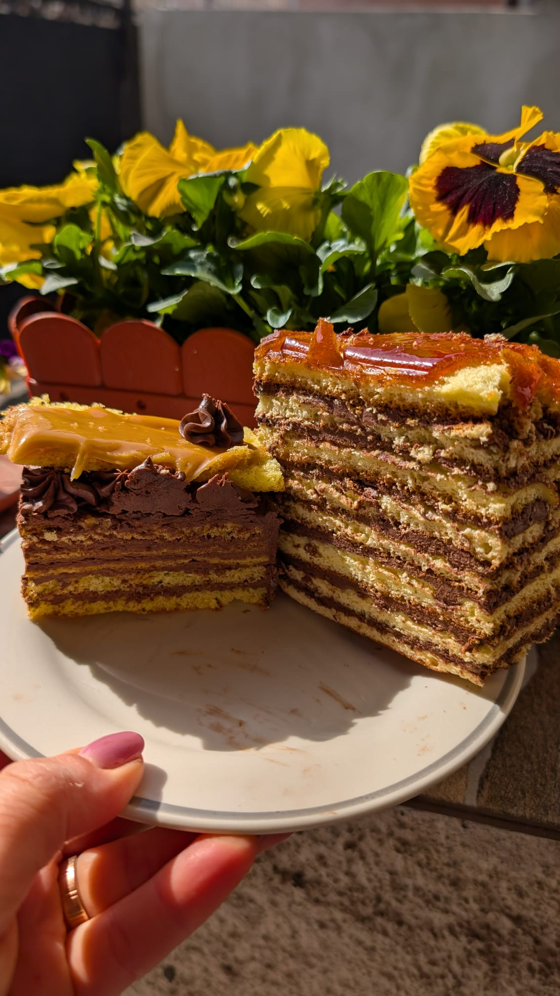 Dobos secțiune
